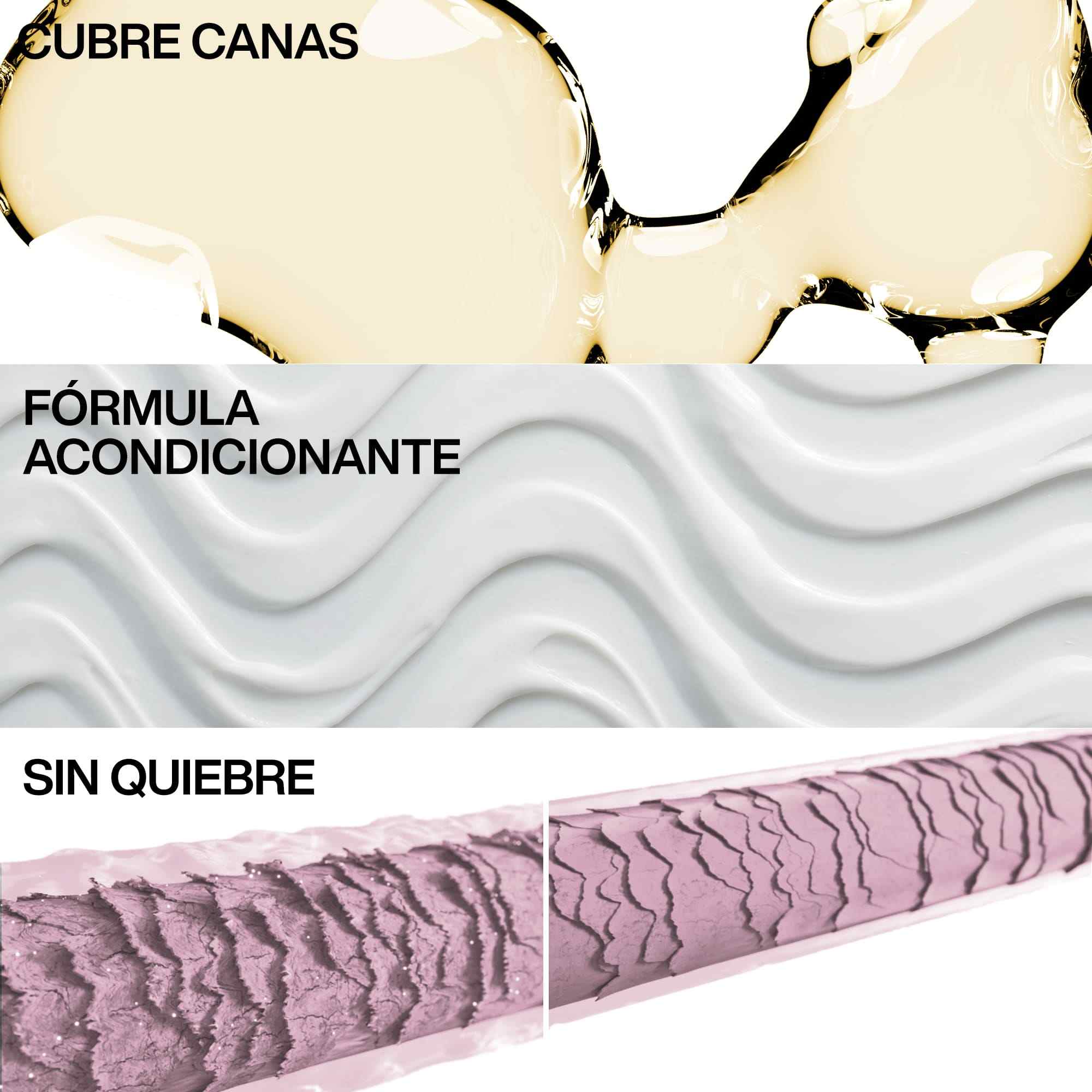 Ingredientes y beneficios de Shades EQ
